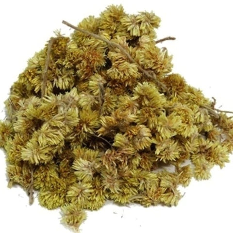 MACELA FLOR