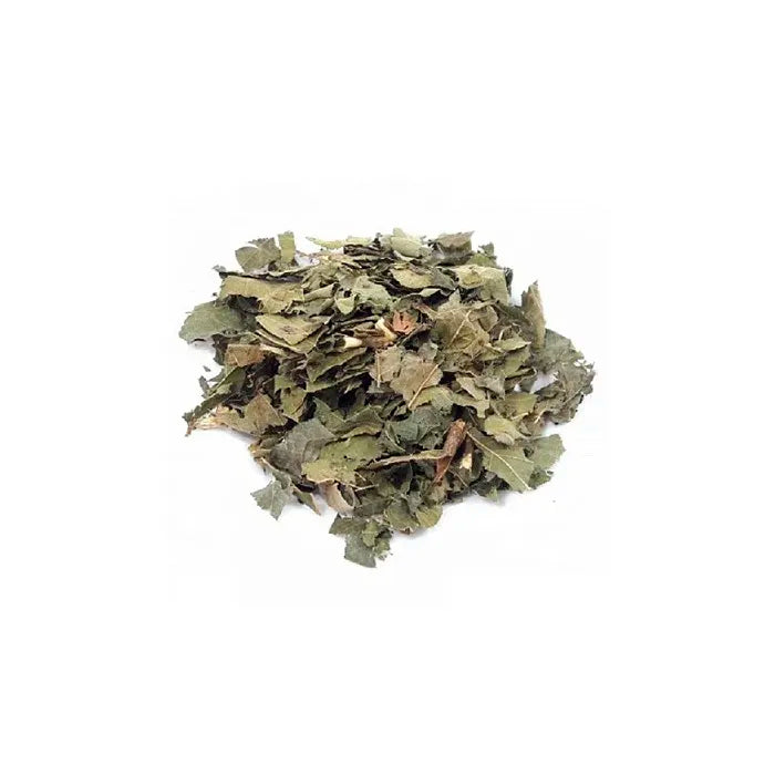 CHÁ VERDE